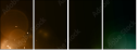 33007658
