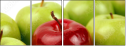 3313699