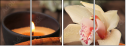 33218303