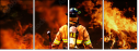 33557057