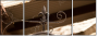 33620946