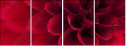 33891278