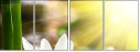 34213537