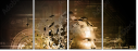 34266129