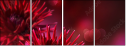 34304958