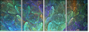 35114270