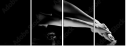 35216204