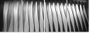 35619001