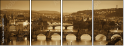 36297051