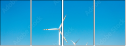 366904333