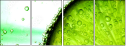 37462259
