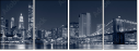 37762397
