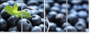 37936052