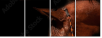 38086864