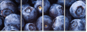 38114663