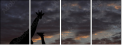 38615749