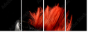 38661910