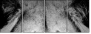 39012933