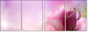 39098232