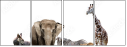 39202721