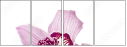 39612007