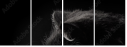 39713173