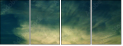39754693