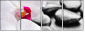 40051892
