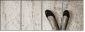 40085175