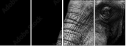 41216080