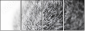 41365560