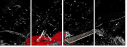 41997356