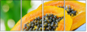 42077640