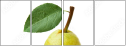 42343029