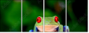 42467641