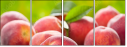 42496953