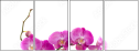 42647759