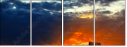 42751455
