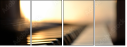 42853540