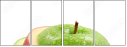 43066745