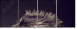 43317658