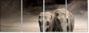 43670148