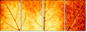 43838542