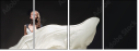 43882892