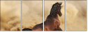 43906966