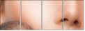44016829