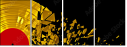 44107943