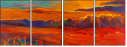 44331533
