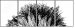 44646006
