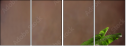 44772824